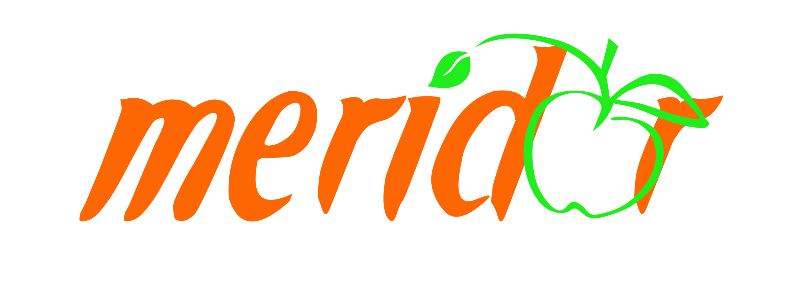 MERIDOR LOGO@300x